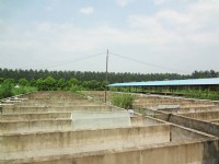 企業(yè)環(huán)境